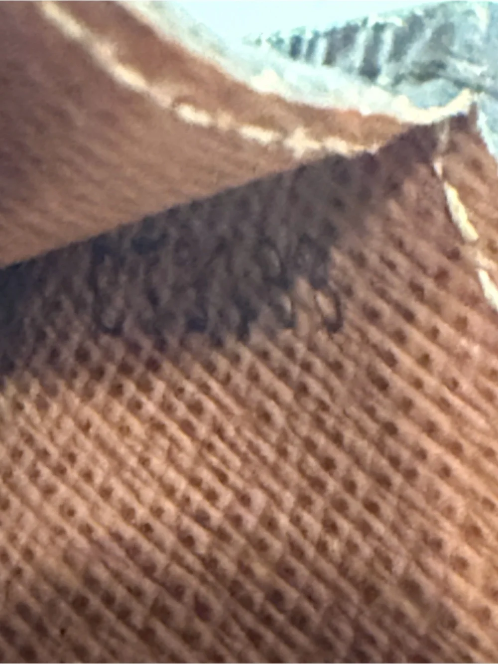 Louis Vuitton Monogram Canvas Phone Case in Brown and Gold